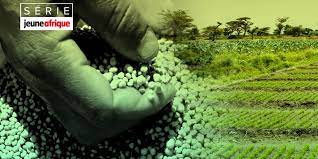 Article : L&rsquo;Afrique en qu&ecirc;te d&rsquo;autosuffisance