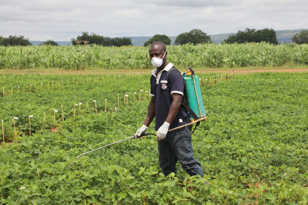 Article : En Afrique, la fin du glyphosate n’est pas pour demain